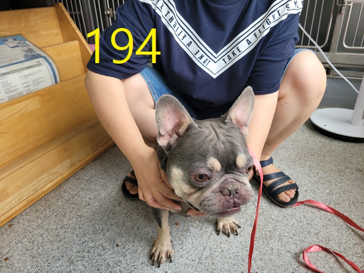 신영재동물병원_428355202300327